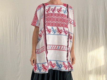 Guerrero Huipil. Nasavi Mixteco. Guerrero, Mexico.