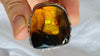 Amber Botanicals Ring. Sterling Silver. Adjustable Size. AMB-1