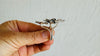 Silver Flower Ring. Adjustable.