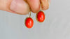 Vintage Ecuadorian Gold Earrings With Coral. 18kt.