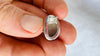 Faceted Prehnite Post Earrings. Sterling Silver. AP-458