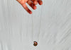Ammonite Necklace. Sterling Silver. 0993