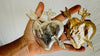 Hand Cast Milagro Hearts for Altar or Decoration. Gold and Silver. 0964