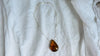 Large Amber Pendant on a Silver Chain. 2558