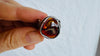 Amber Botanicals Ring. Sterling Silver. Adjustable Size. AP-378