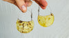 Large Amber Earrings. Sterling Silver Ear Wire. 0959