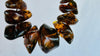Huge Graduated Amber Chip Beaded Necklace. Mexican Amber. Dramatic and Gorgeous!
