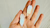 Carved Mother of Pearl Wings Earrings. Exquisitely Crafted. Sterling Silver Jewelry. 2735