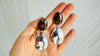 Ocean Jasper Earrings. Sterling Silver. 2605