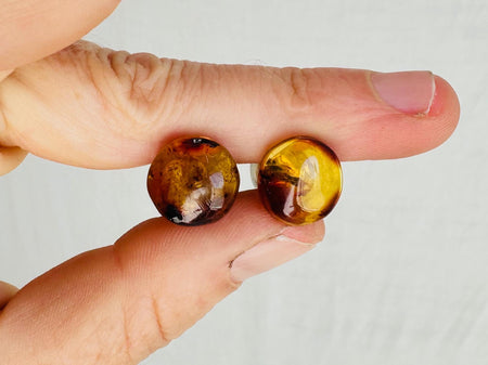Large Amber Barbell Earrings. Double Sided. 4280