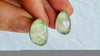 Faceted Prehnite Post Earrings. Sterling Silver. AP-458