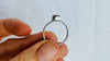 Amber Botanicals Ring. Sterling Silver. Size 7.75. AP-313