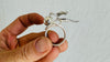 Silver Flower Ring. Adjustable. 0658