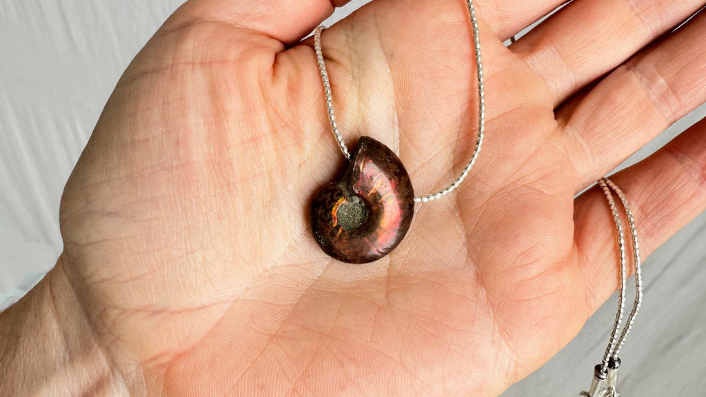 Ammonite Necklace. Sterling Silver. 0993