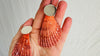 Orange Clam & Sterling Silver Earrings. Handmade Sterling Silver Jewelry.2695