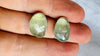 Faceted Prehnite Post Earrings. Sterling Silver. AP-458