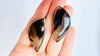 Natural Montana Agate Earrings. Designer Sterling Silver Posts. Handmade Earrings. 145