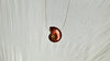 Ammonite Necklace. Sterling Silver. 0993