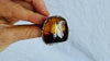 Amber Botanicals Ring. Sterling Silver. Adjustable Size. AMB-1