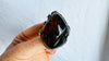 Amber Botanicals Ring. Sterling Silver. Adjustable Size. AMB-2