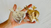 Hand Cast Milagro Hearts for Altar or Decoration. Gold and Silver.