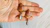 Picasso Jasper Earrings. Monte Alban Bells Sterling Silver. 0409