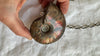 Ammonite Pendant Necklace. Chunky Sterling Silver Chain. 2376