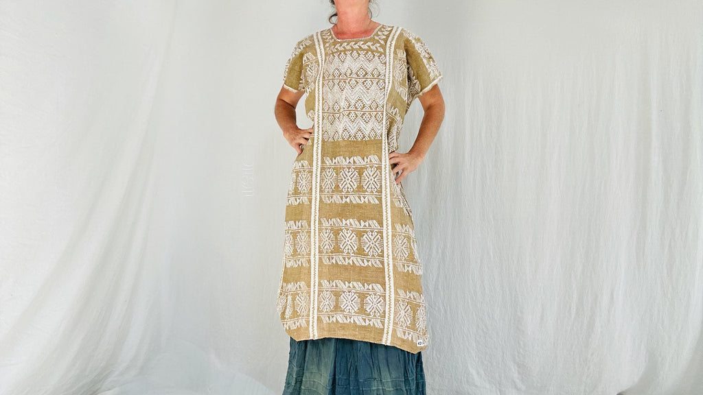 Hand Woven Amuzgo Huipil Dress. Guerrero, Mexico. Rare. 4314