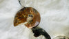 Garden Quartz & Ammonite Necklace. Designer Natural Stone Necklace. Atelier Aadya