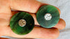 Canadian Jade Earrings. Jade & Sterling Silver. 4044