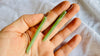 Jade & Sterling Silver Earrings. Canadian Jade. 1361