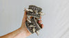 Hmong Kuchi Spike Cuff Bracelet PAIR. Punk Goth Boho.