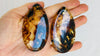 Amber and Sterling Silver Post Earrings.
