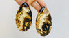 Amber and Sterling Silver Post Earrings.