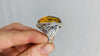 Amber Botanicals Ring. Gorgeous. Size 7. 0144