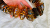 Huge Amber Beaded Necklace. Mexican Amber. Dramatic and Gorgeous!