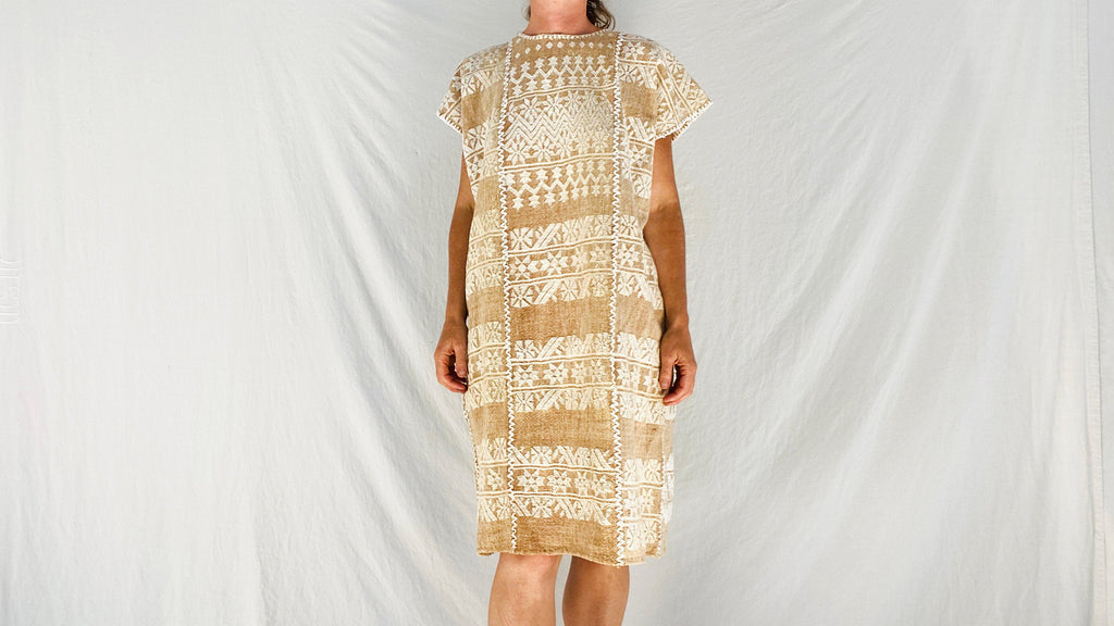 Hand Woven Amuzgo Huipil Dress. Guerrero, Mexico. Rare - Aadya Bazaar