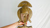 Bakota Relic. African Art. Brass & Wood Female Sculpture.