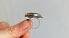 Labradorite Ring. Size 6