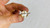 Turquoise and Silver Ring. Size 8.75 - Aadya Bazaar