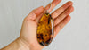 Large Amber Pendant on a Silver Cord. Snake Chain.
