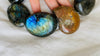Labradorite & Ammonite Necklace.