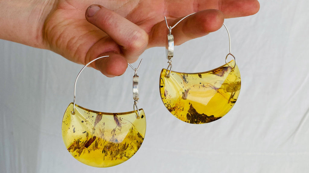 Large Amber Earrings. Sterling Silver Ear Wire. 0236