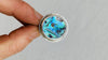 Paua Ring. Size 5.75