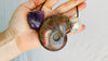 Ammonite, Fluorite and Sterling Silver Pendant Necklace. 1214