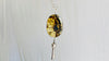 Squash Blossom Amber & Sterling Silver Necklace.