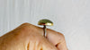 Prehnite Gold and SIlver Ring. Size 7.5