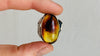 Amber Botanicals Ring. Gorgeous. Size 8