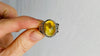 Amber Botanicals Ring. Gorgeous. Size 7