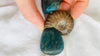Blue Appatite, Quartz & Ammonite Necklace.
